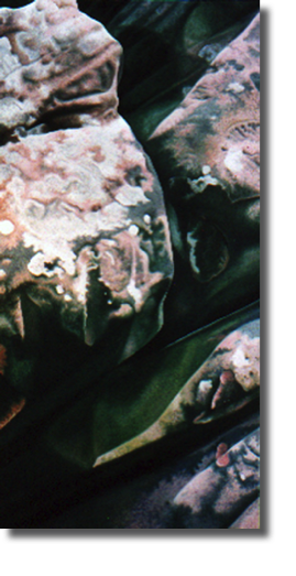 Rock Series 2 No.10 (2001)
68 x 137 cm
oil on canvas